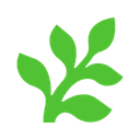 Fern logo